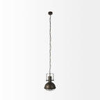 Zaio 12.5Lx 12.5W x 18.5H Weathered Antique Gold Metal Caged Bulb Pendant Light