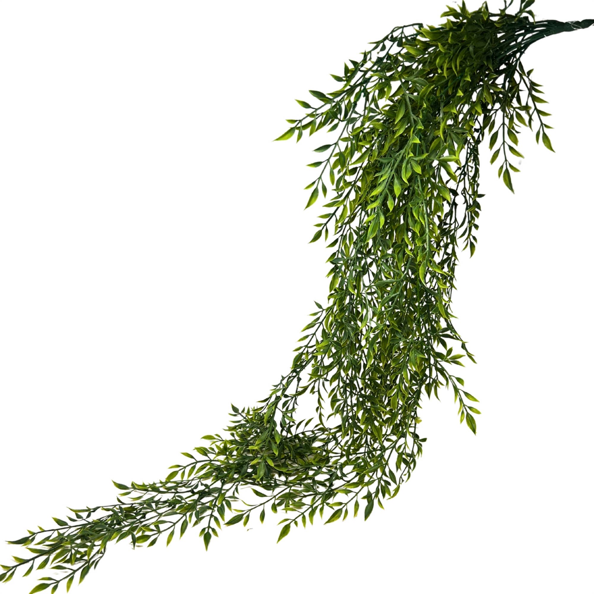 Hanging Smilax Vine 48" - Two Tone Green