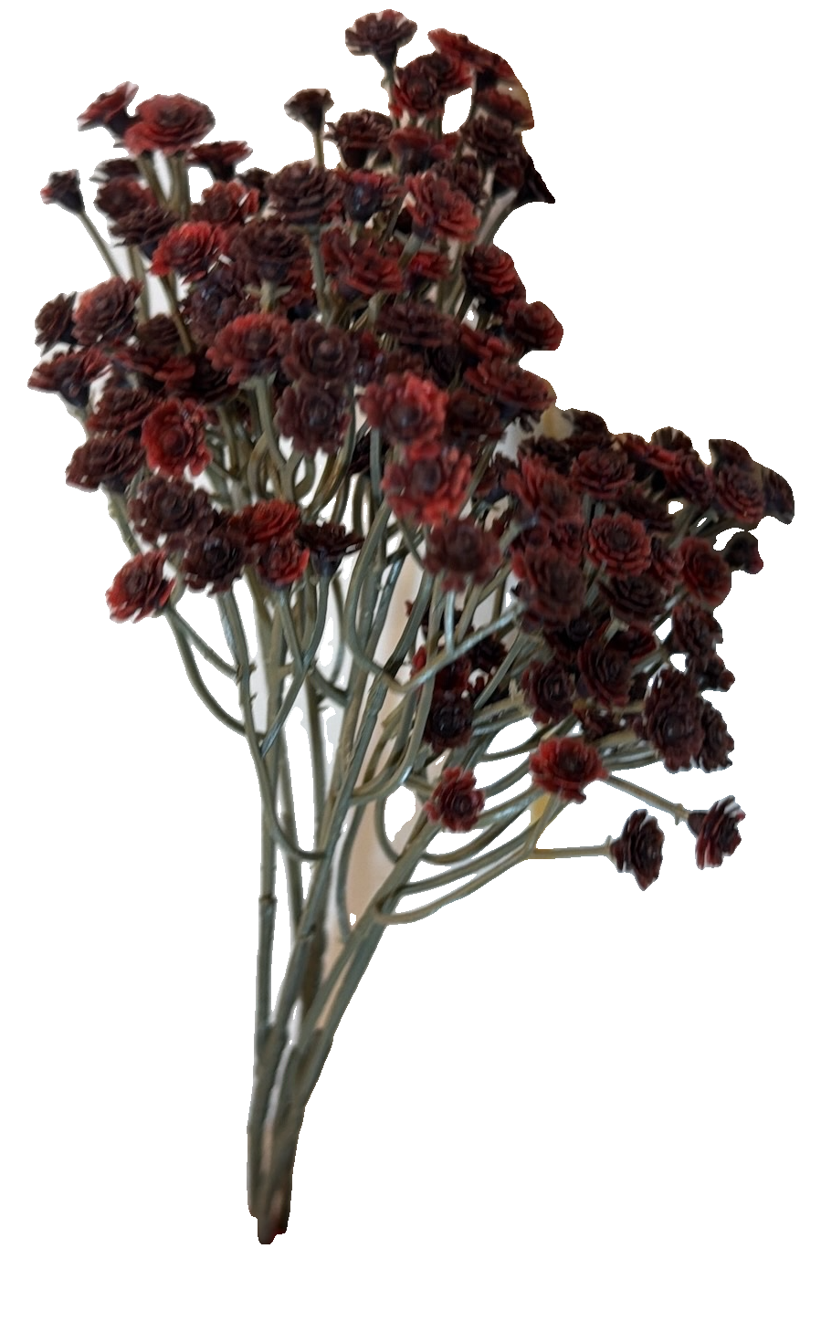 Florals - Amaranth