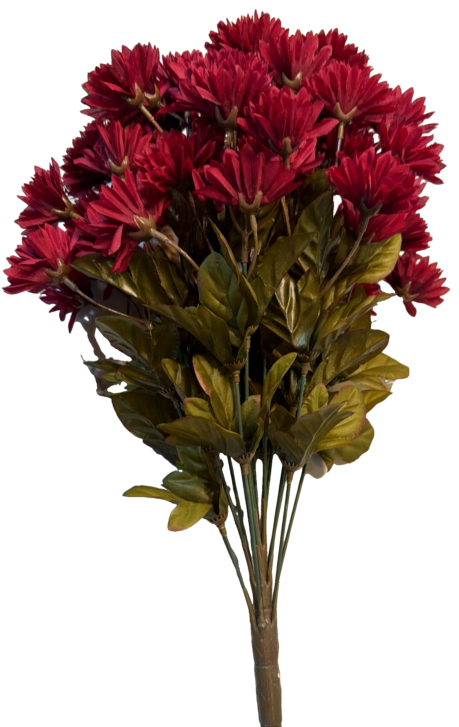 Florals - Mums