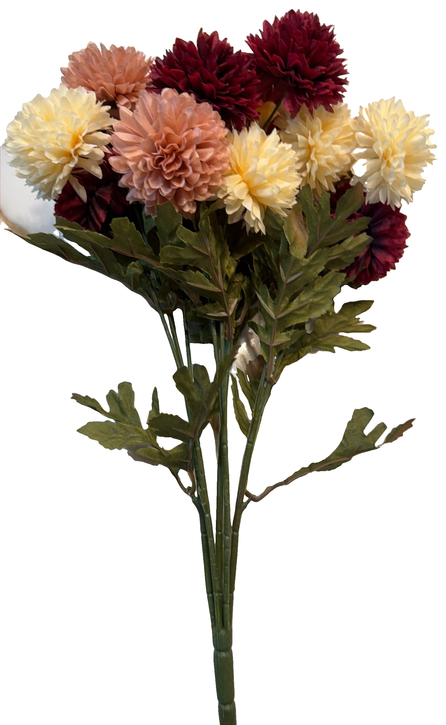 Florals - Chrysanthemum