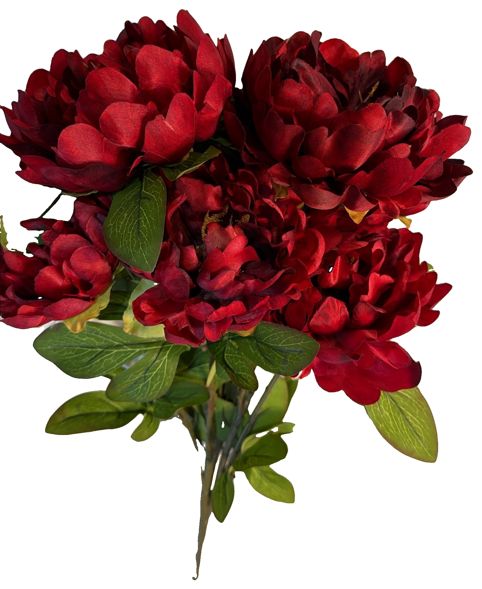 Florals - Peony