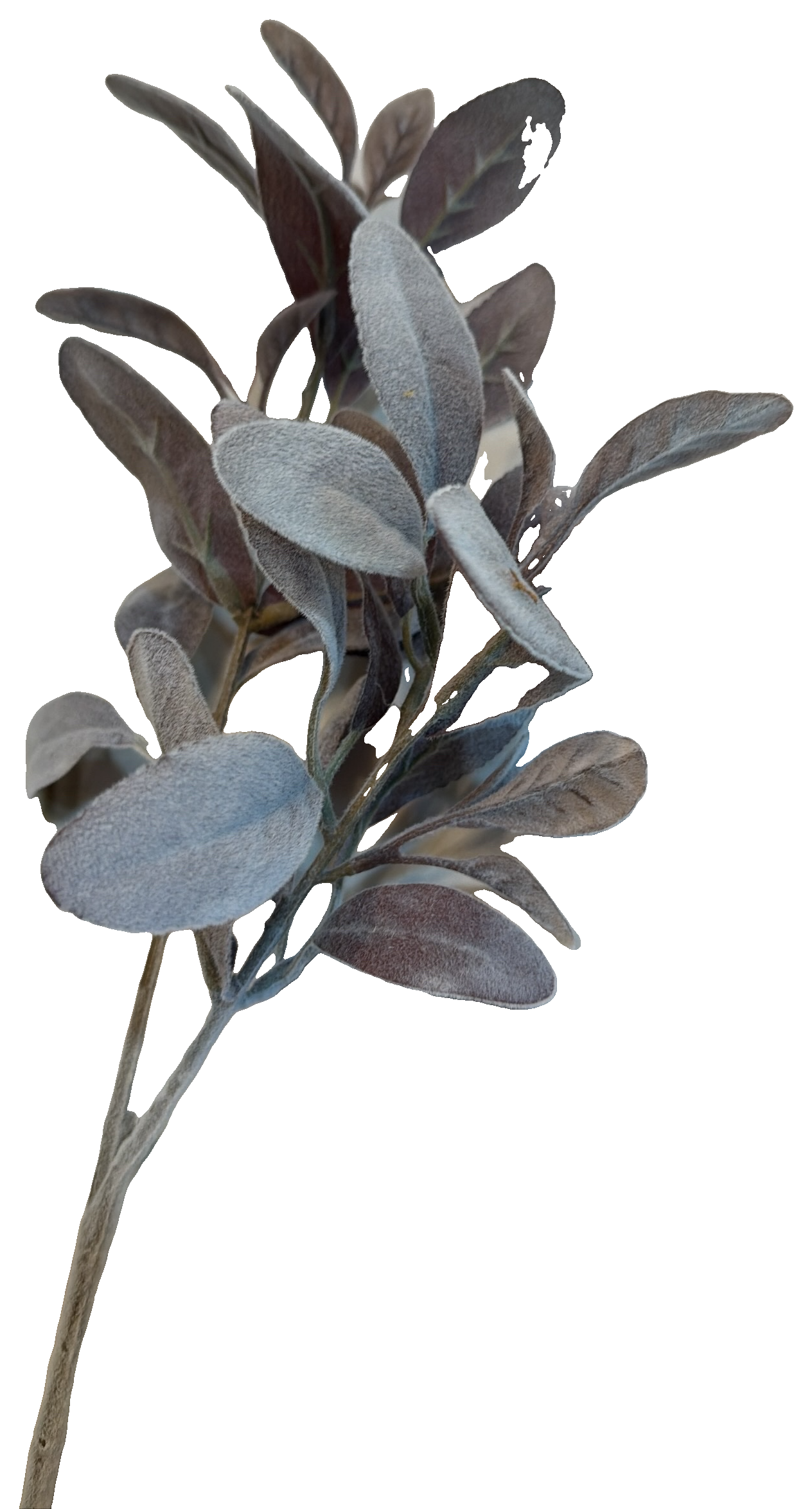 Florals - Frosted Sage