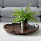 Nature's Edge Indoor-Outdoor Bowl