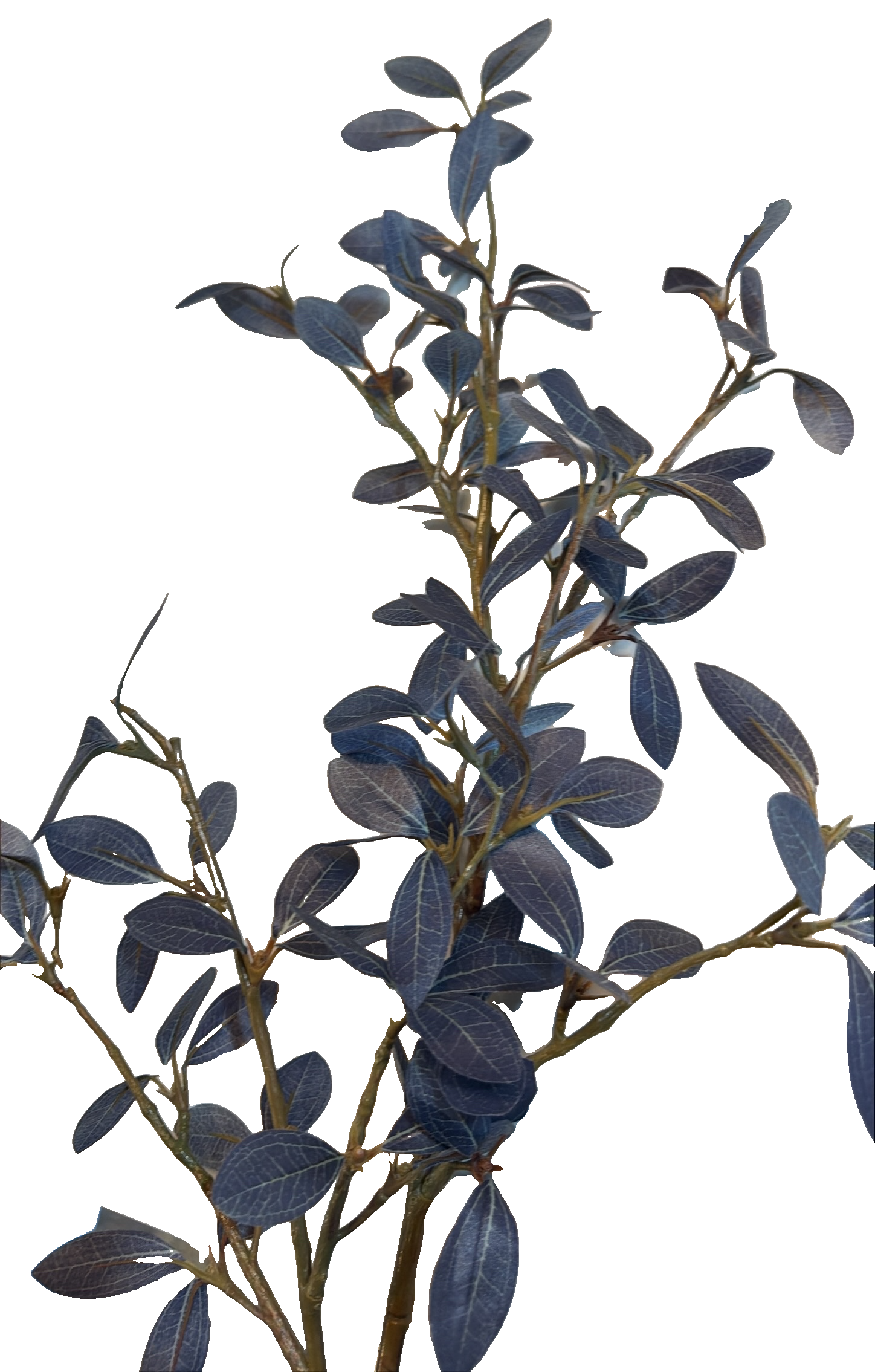 Florals - Blue Foliage