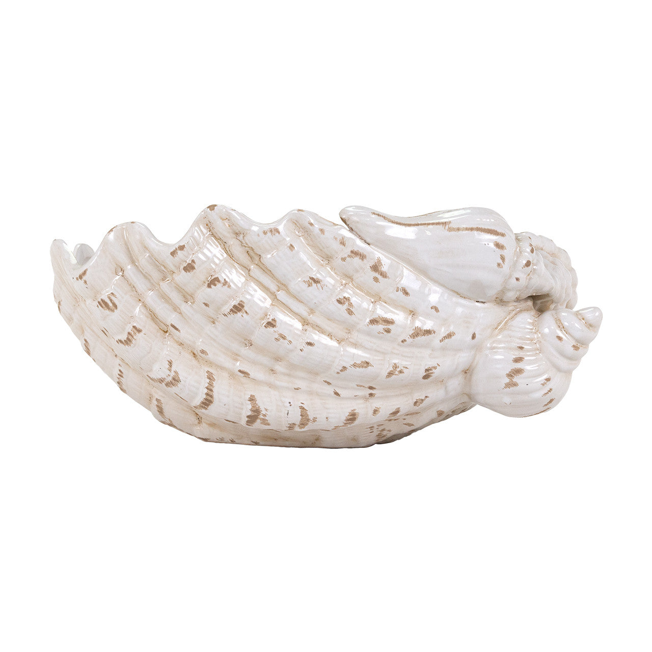 Giant Clamshell Bowl