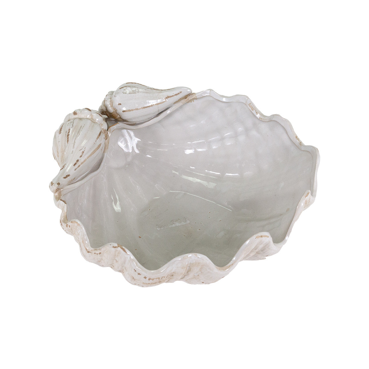 Giant Clamshell Bowl