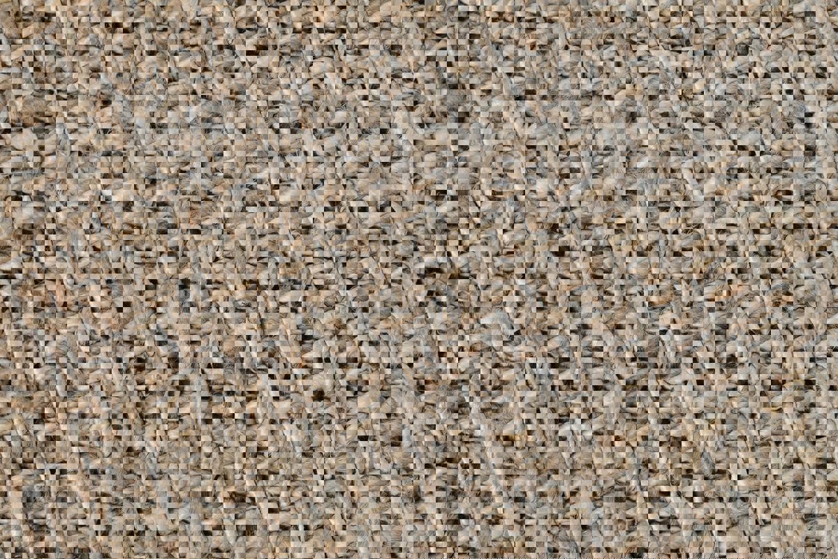 Misti Rug - Silver/Ivory