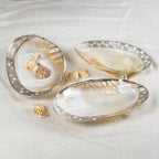 Ornamented Cabebe Shell Footed Dish W/Silver Plated Trim Asst 3 Designs