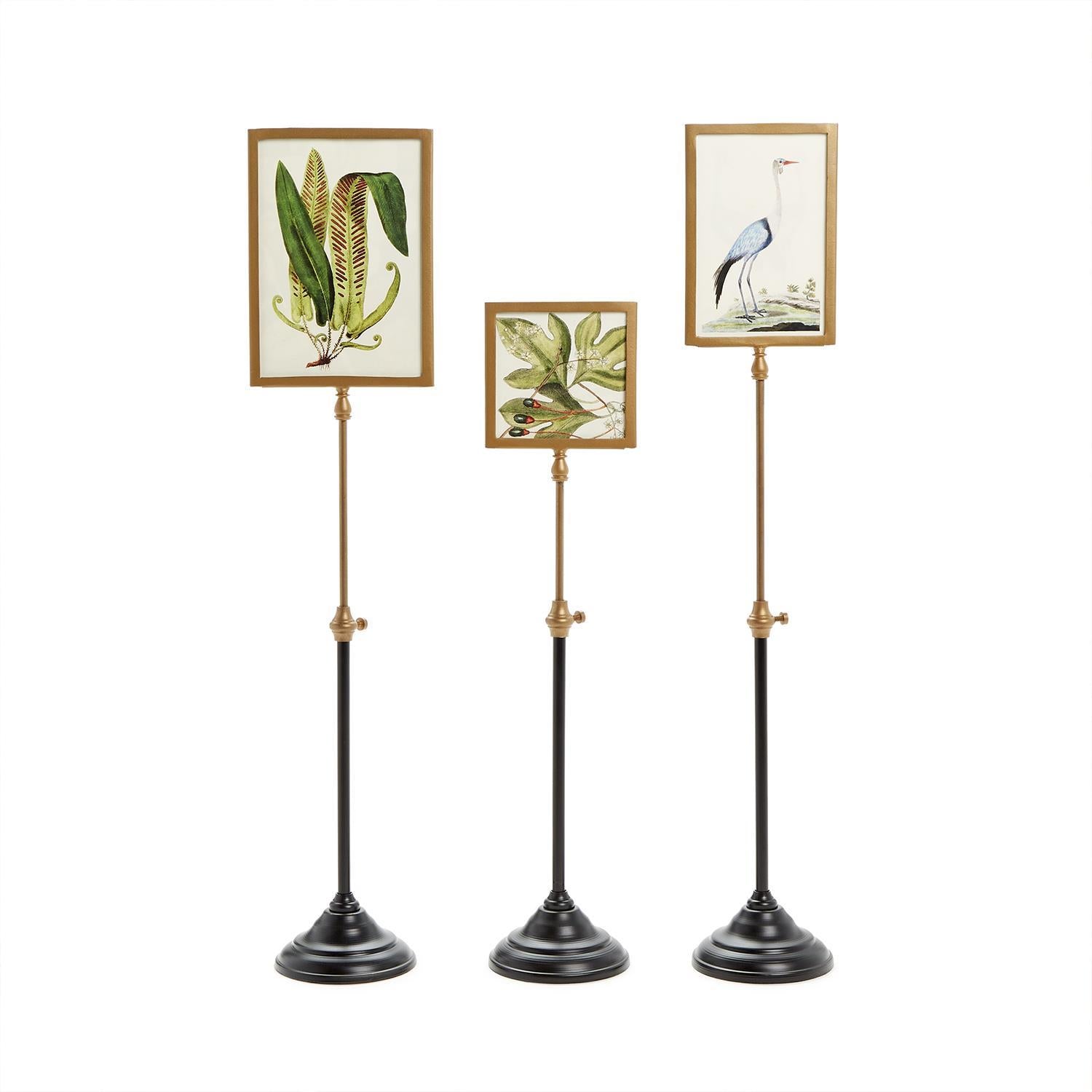 Double Sided Photo Frames on Telescoping Pole - Set of 3