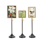 Double Sided Photo Frames on Telescoping Pole - Set of 3