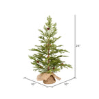Vickerman 24" Cedar Pine Artificial Christmas Tree, Unlit