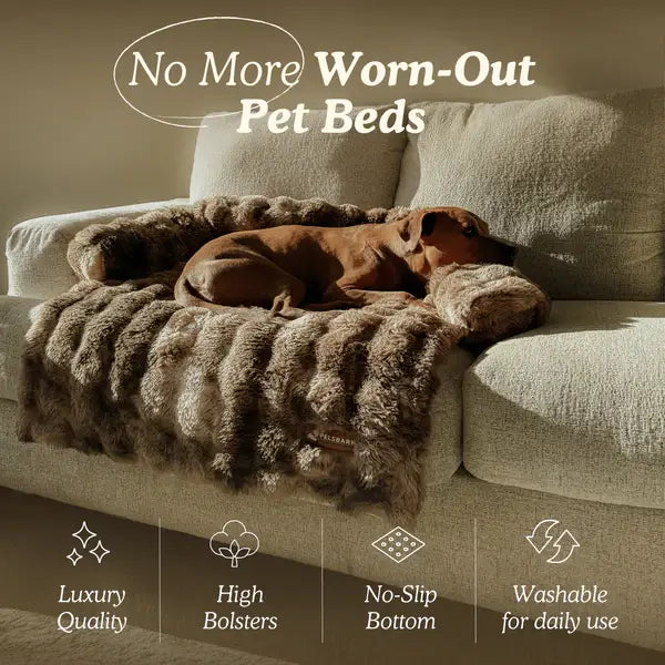 Luxurious Cozy Sofa Bed - Pelsbarn Helps Shelter Dogs!