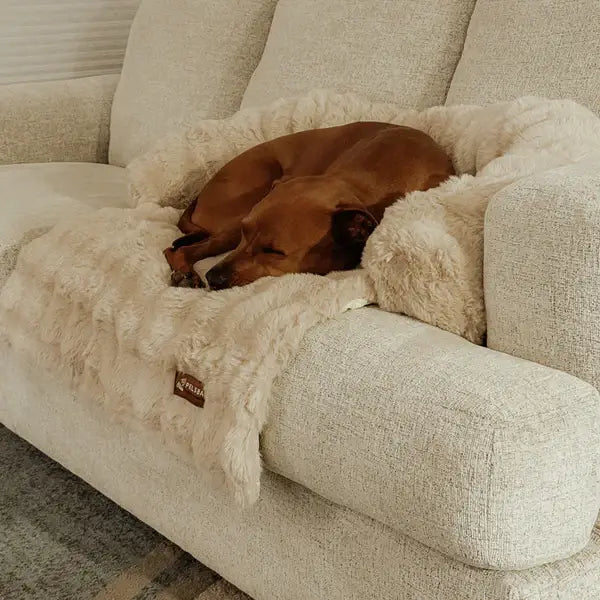 Luxurious Cozy Sofa Bed - Pelsbarn Helps Shelter Dogs!
