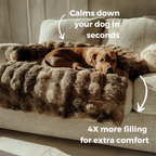 Luxurious Cozy Sofa Bed - Pelsbarn Helps Shelter Dogs!