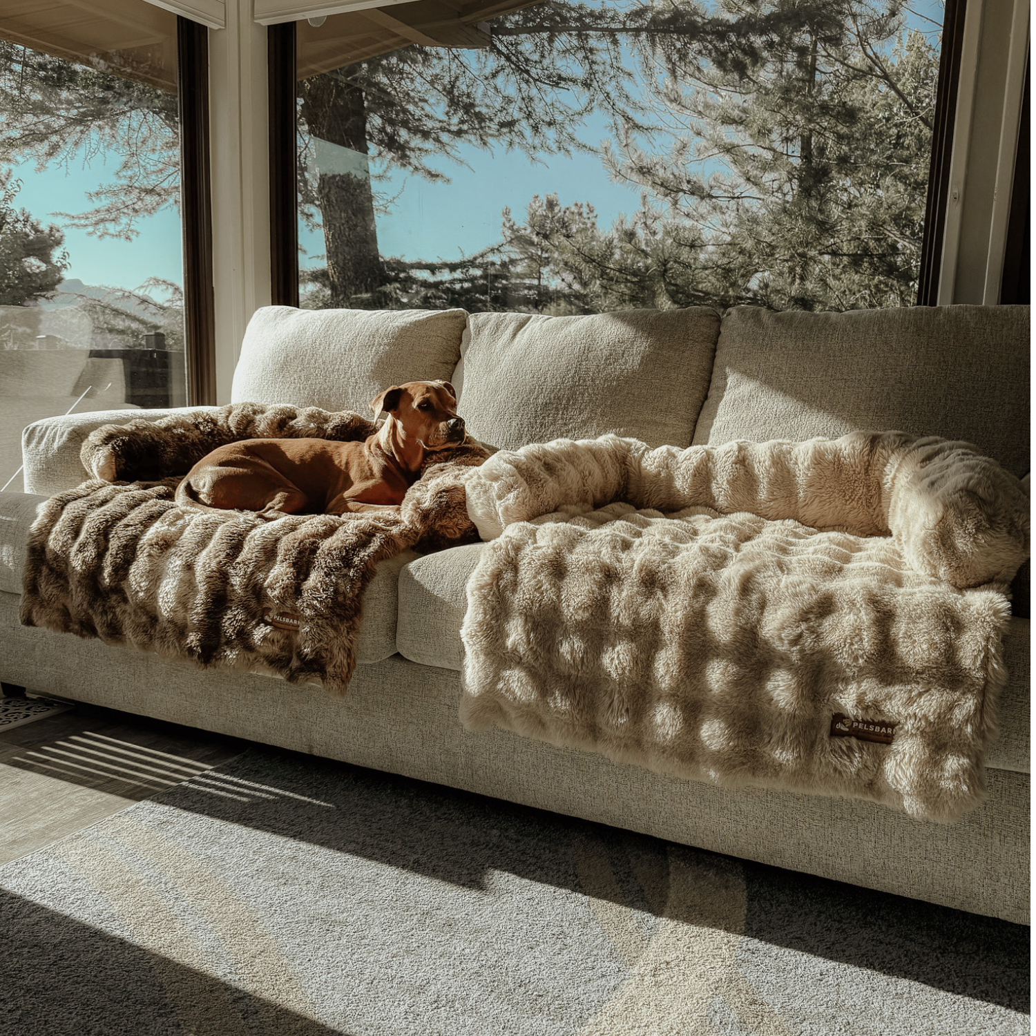 Luxurious Cozy Sofa Bed - Pelsbarn Helps Shelter Dogs!