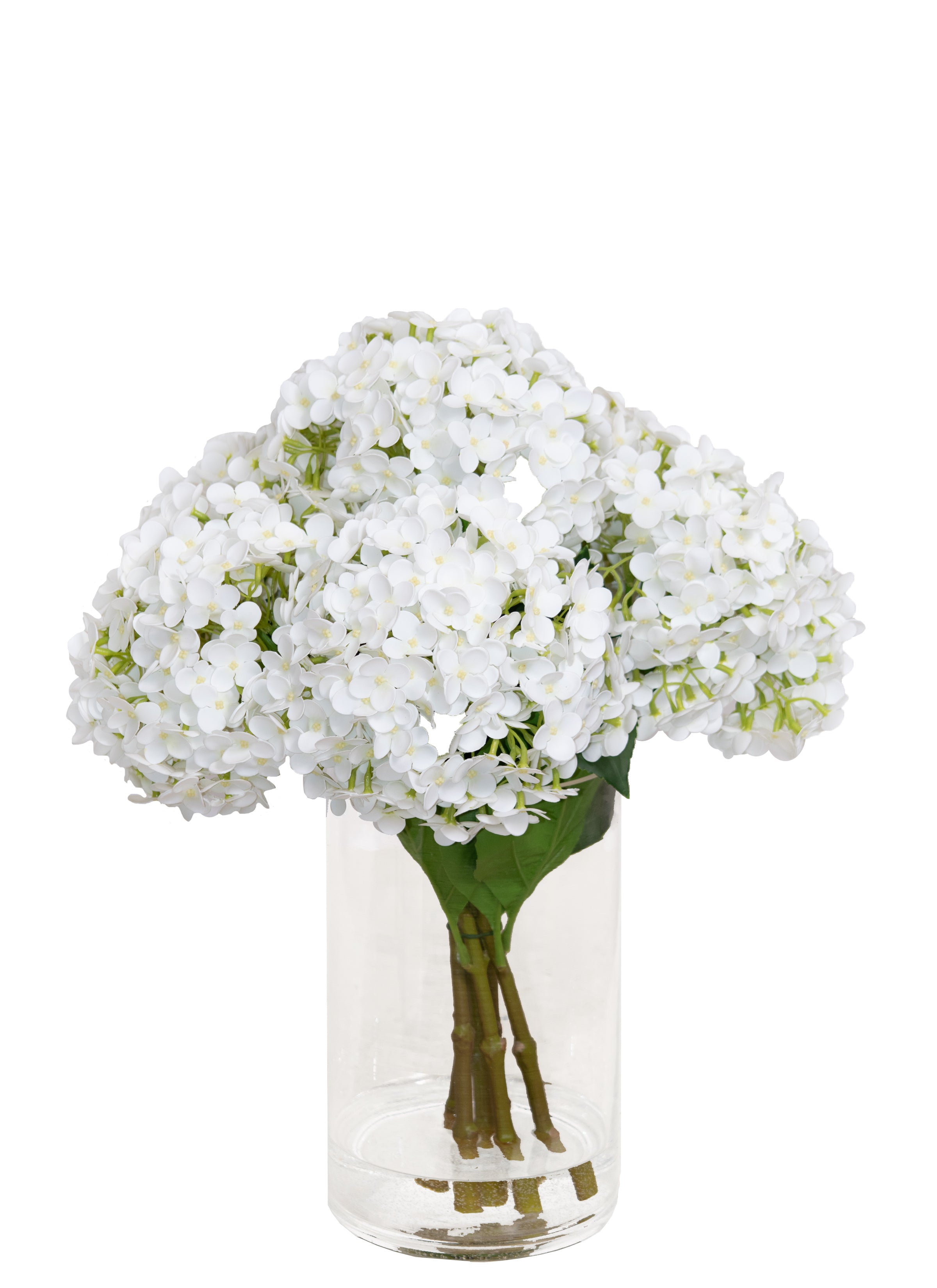 GLASS/ WH HYDRANGEA