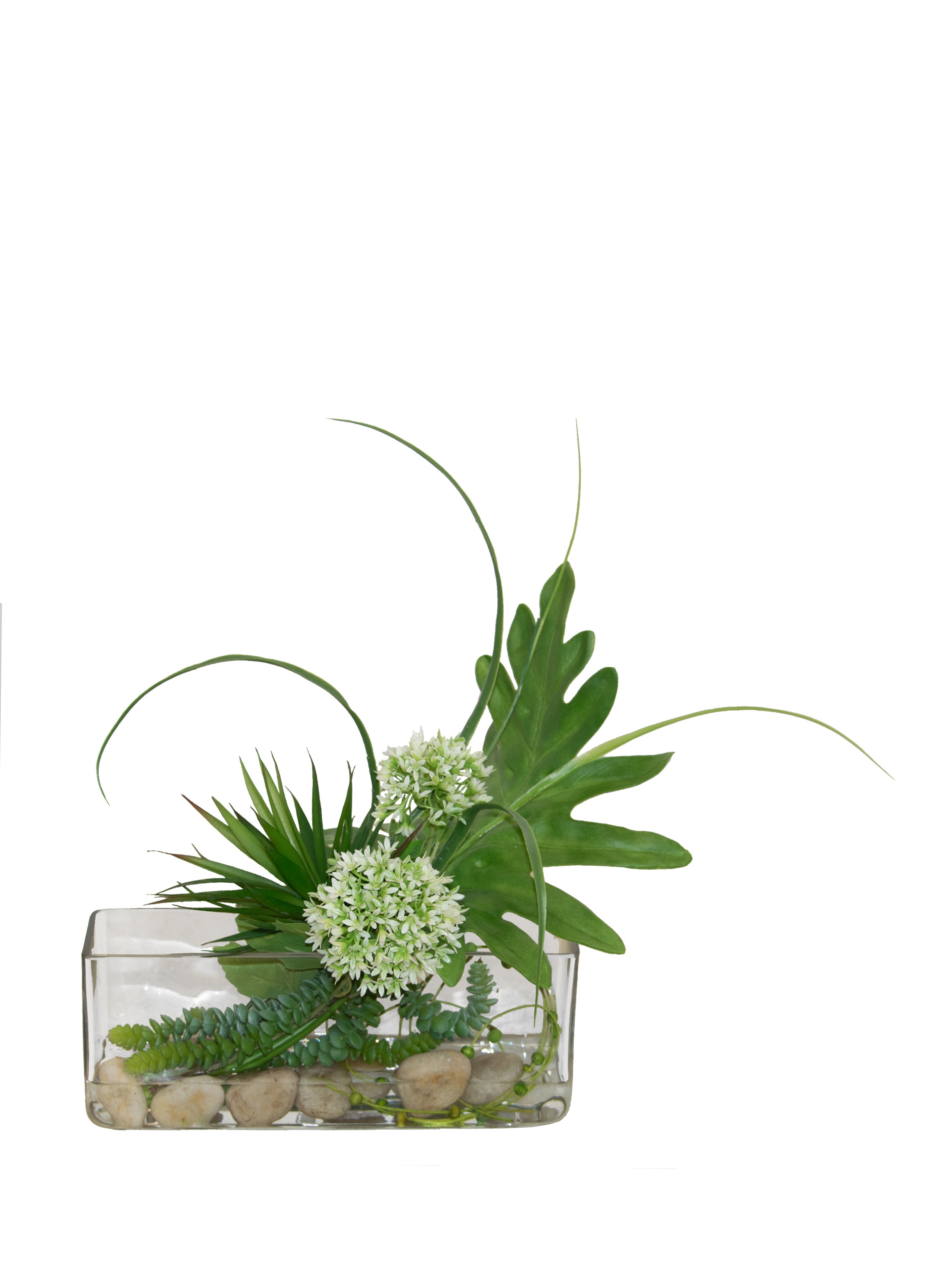 GLASS/ GRASS/ MILKWEED/ AGAVE