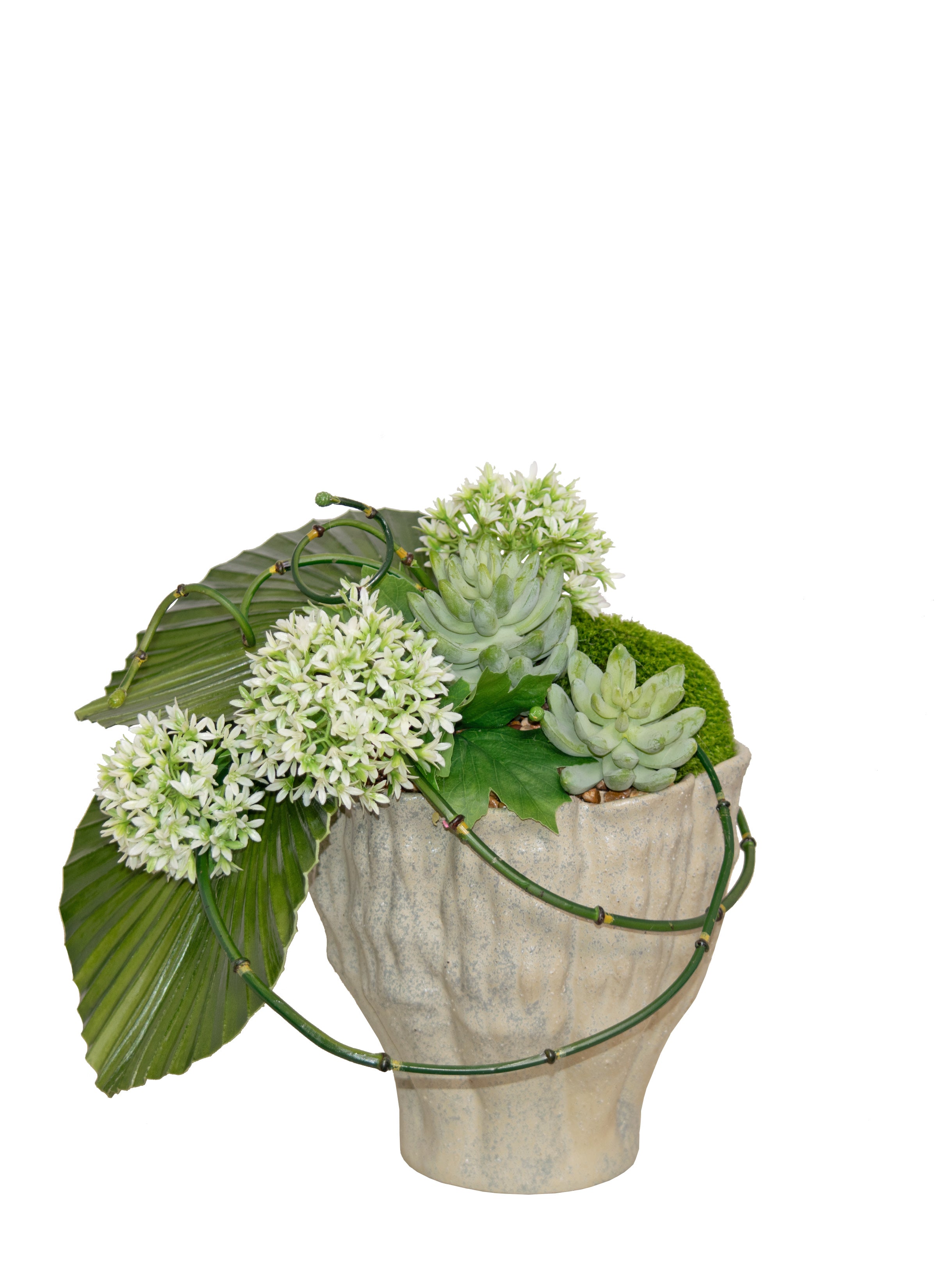 GRY POT/ MILKWEED/ FAN PALM/ SUCCULENT