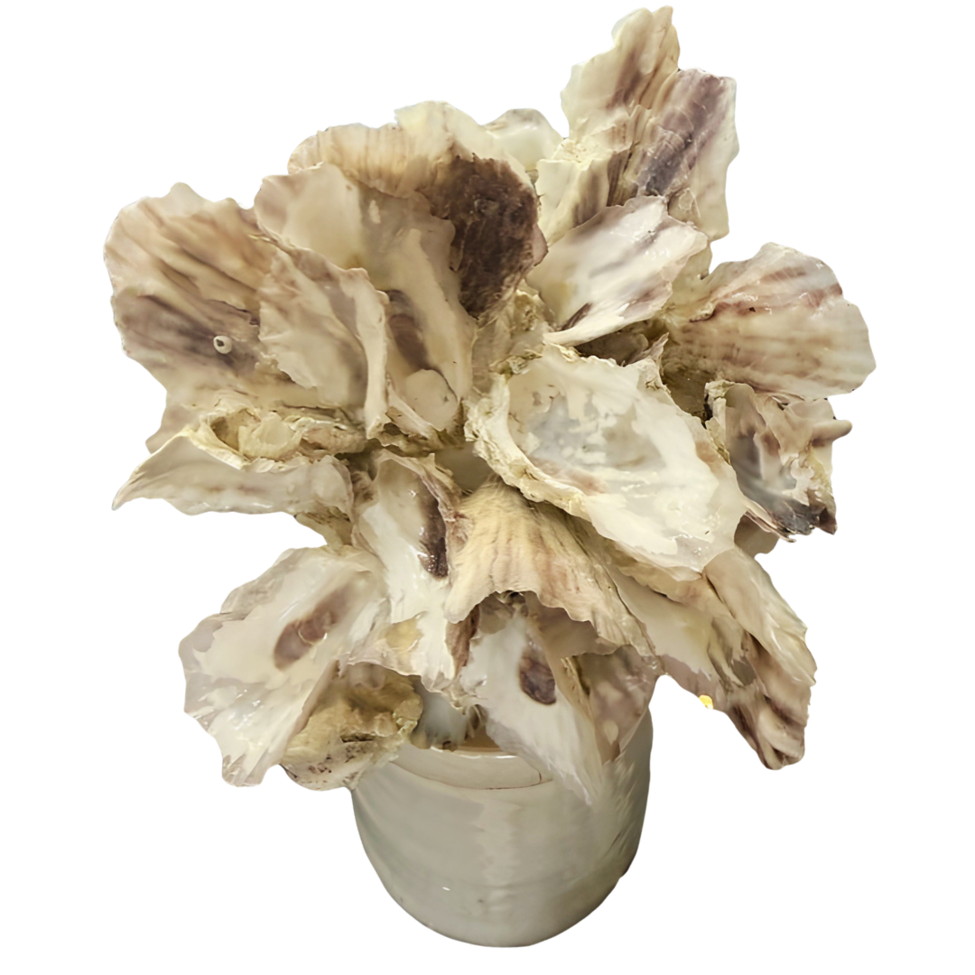 Barnacle Magnolia (Large)
