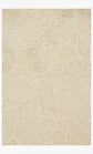 Beige area rug with a subtle pattern on a plain background