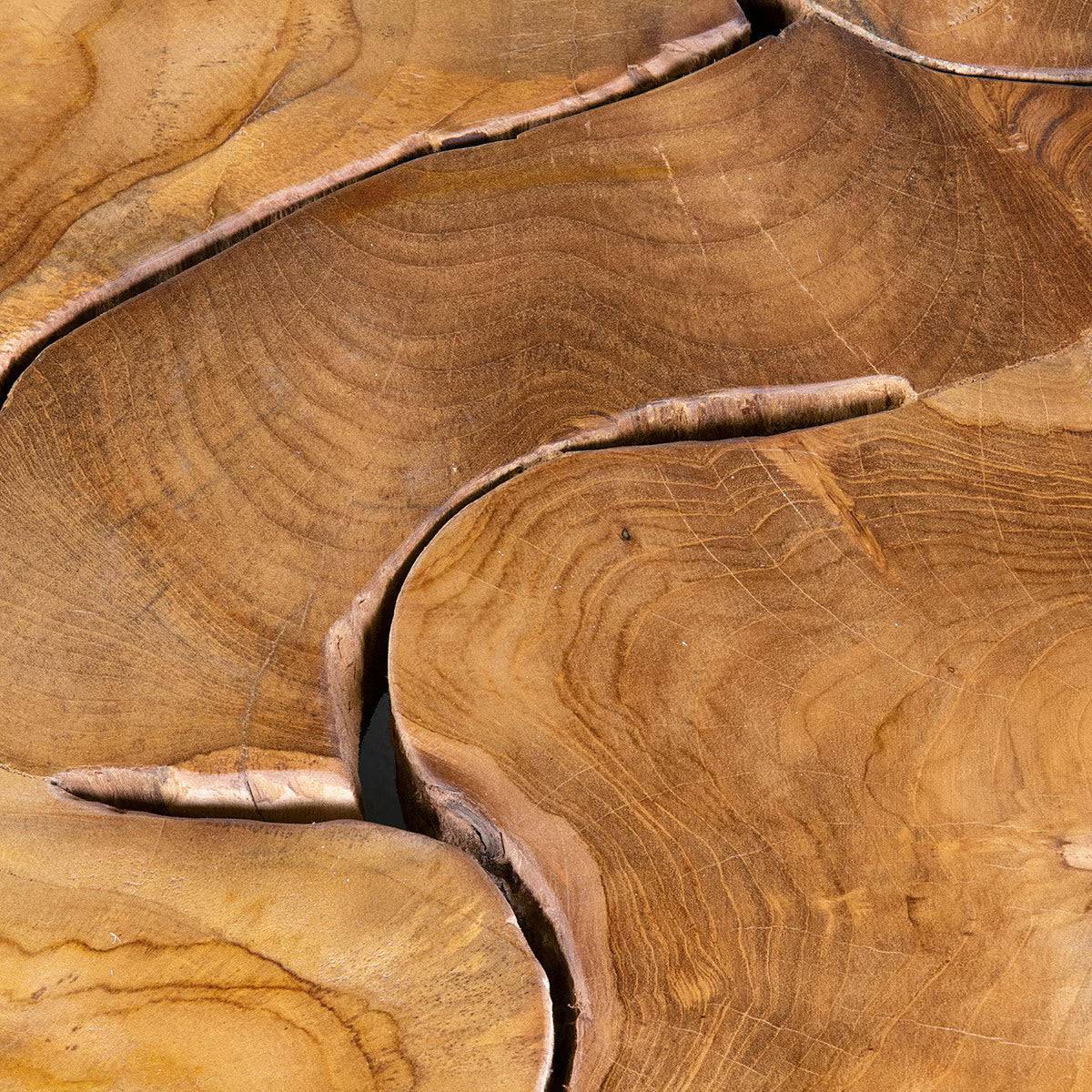 Burl Organic Coffee Table, Medium Brown