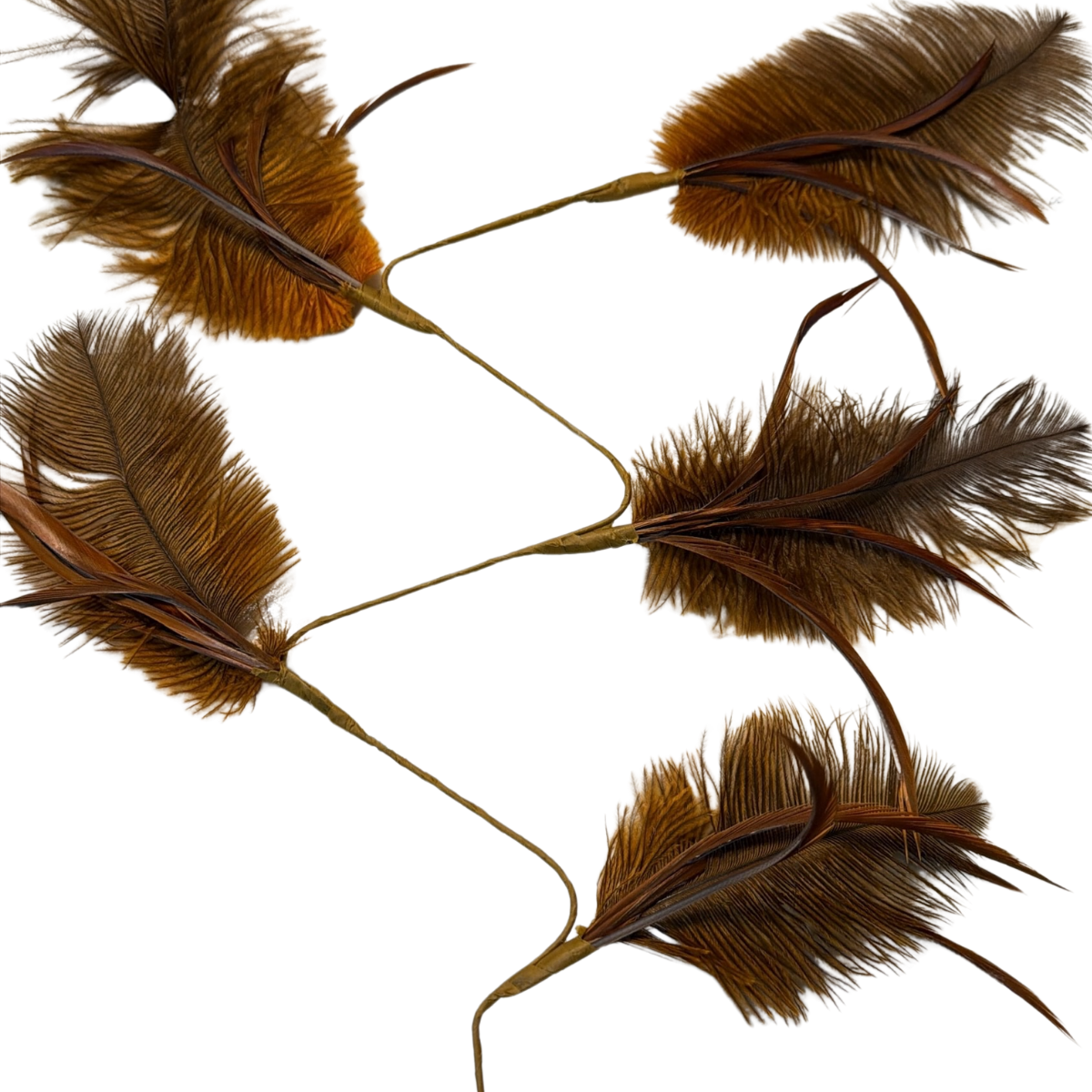 Florals - Feather W0753452