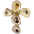 Gold Oyster Crosses with Cultured Pearl