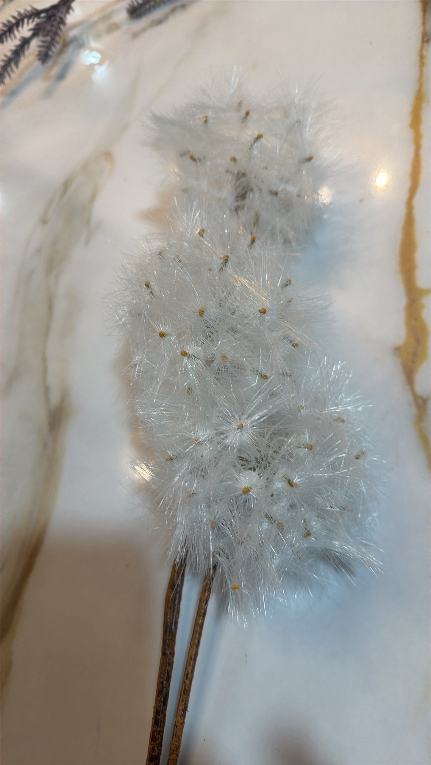 Florals - Dandelion Puff