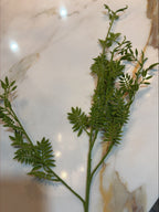 Florals - Lace Fern