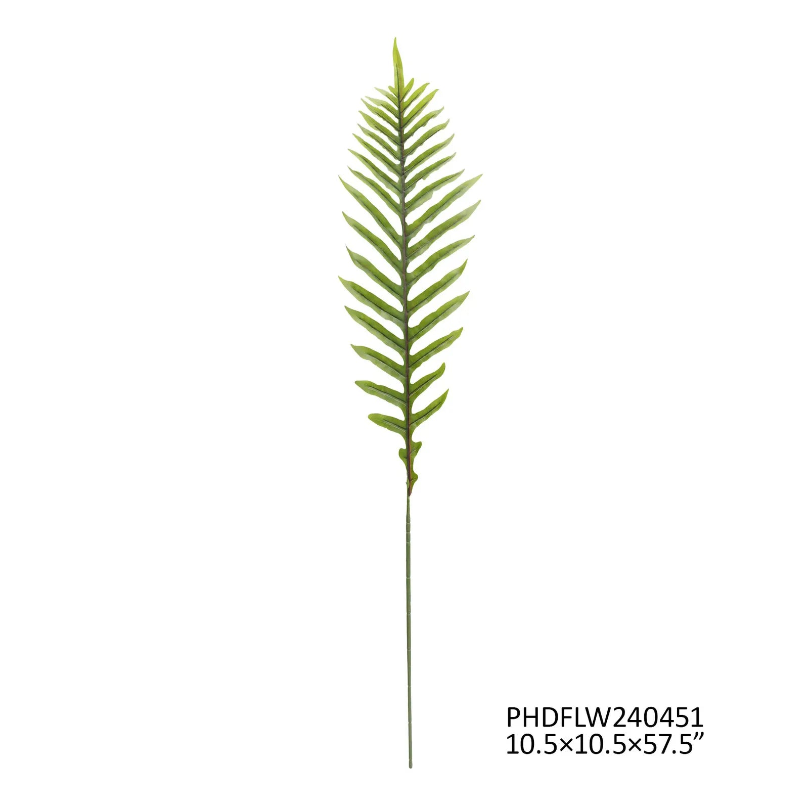 Ostrich Fern Light Green