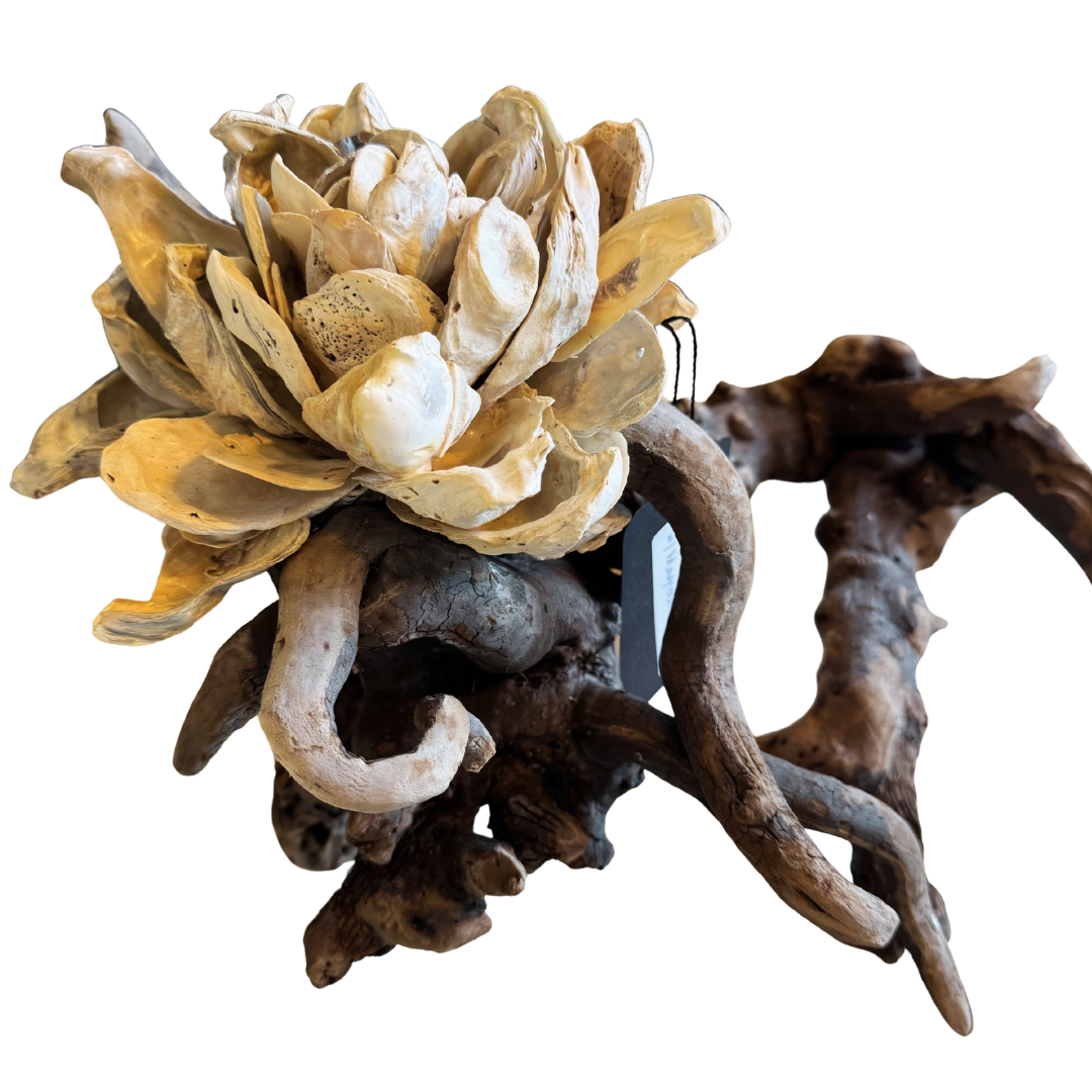 Small Root Driftwood with Magnolia