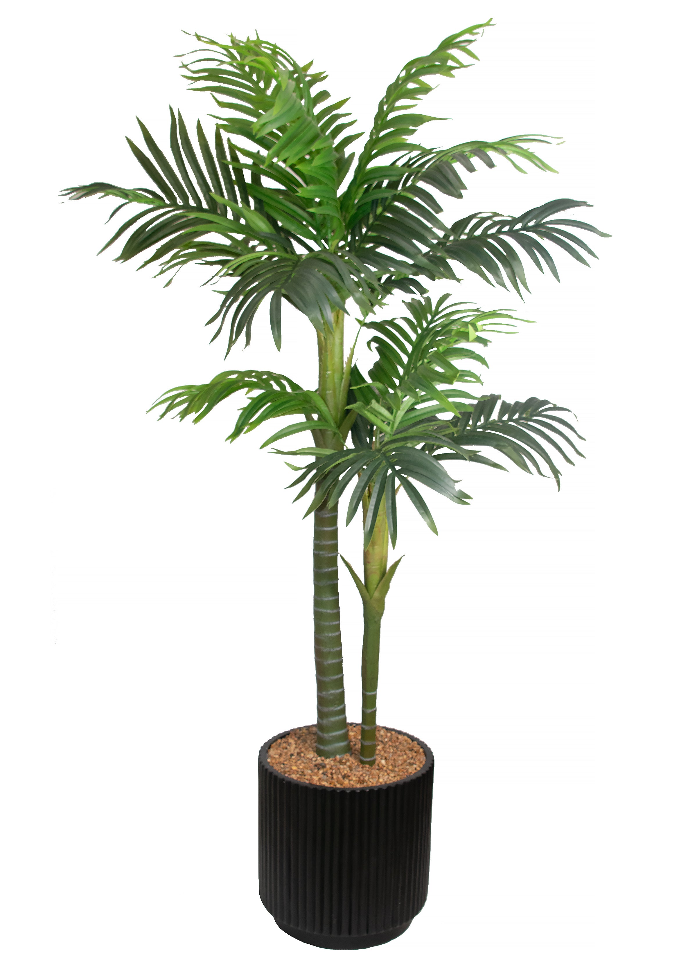 6.5Ft Areca Palm w/o Container (Container Shown: CTR-064BKB)