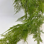 Hanging Fern Vine 44" Green