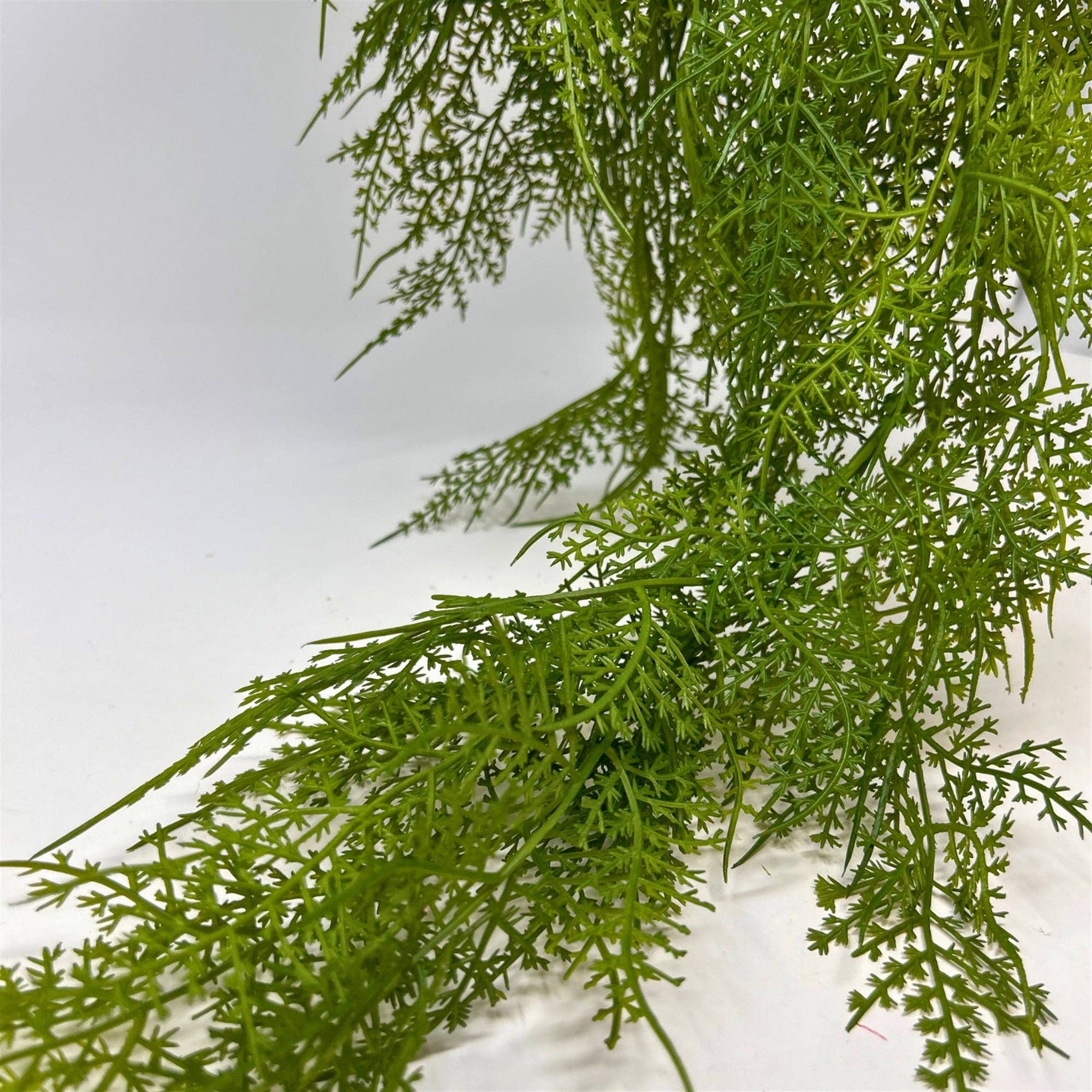 Hanging Fern Vine 44" Green