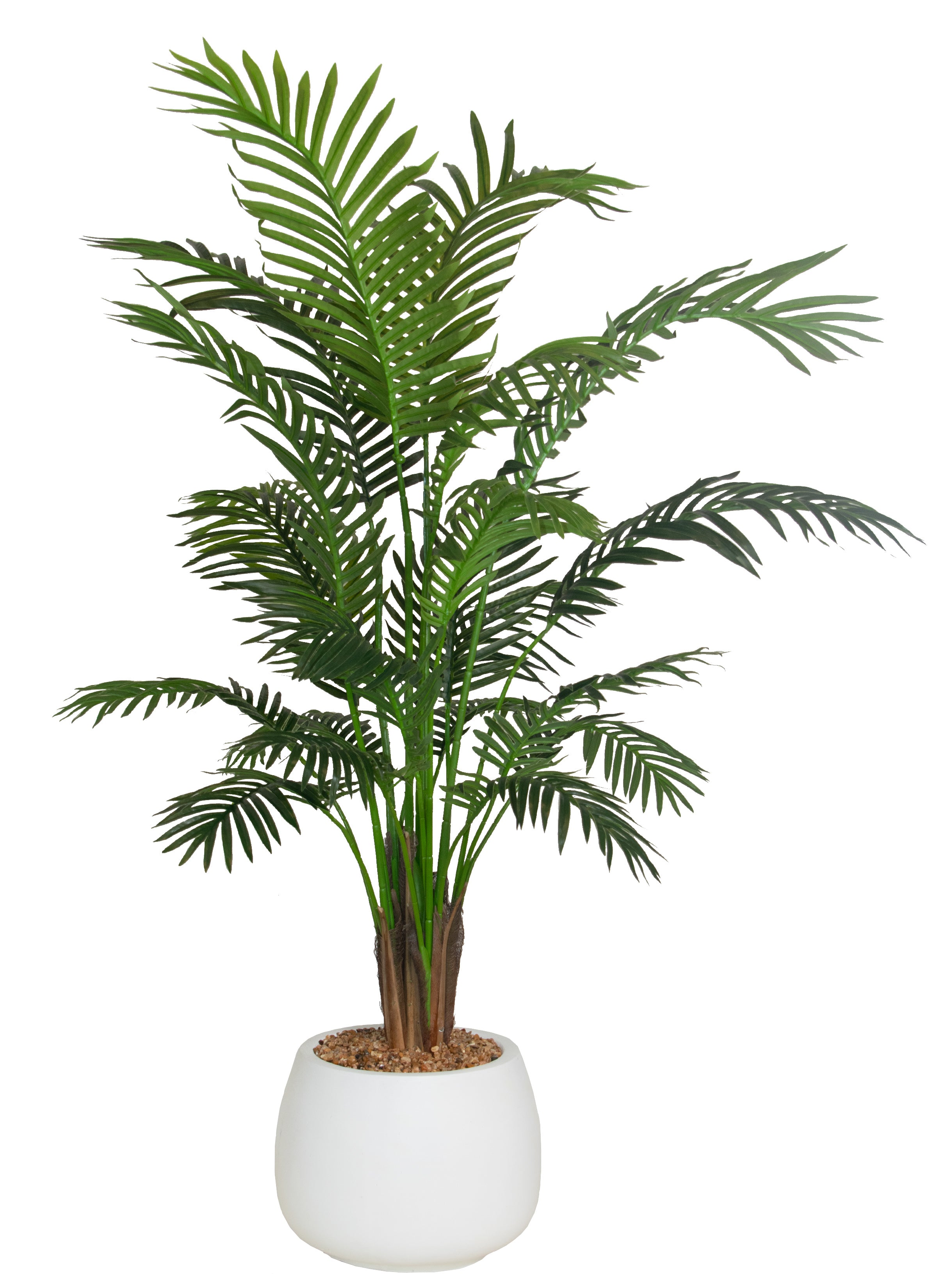 WH PLNTR/ ARECA PALM