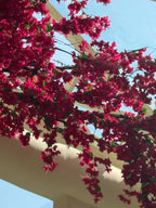 Pink Bougainvillea Flower Garland – Realistic Design – Artificial Flower Garland
