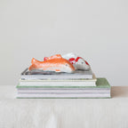 Stoneware Floating Fish, Orange Color & White, 2 Styles (Large)