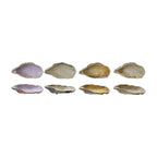 Stoneware Oyster Shell Shaped Dish, 4 Colors
