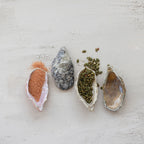 Stoneware Oyster Shell Shaped Dish, 4 Colors