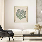 Seaweed On Linen II