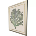 Seaweed On Linen II