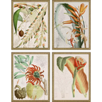 Tropical Variety S/4