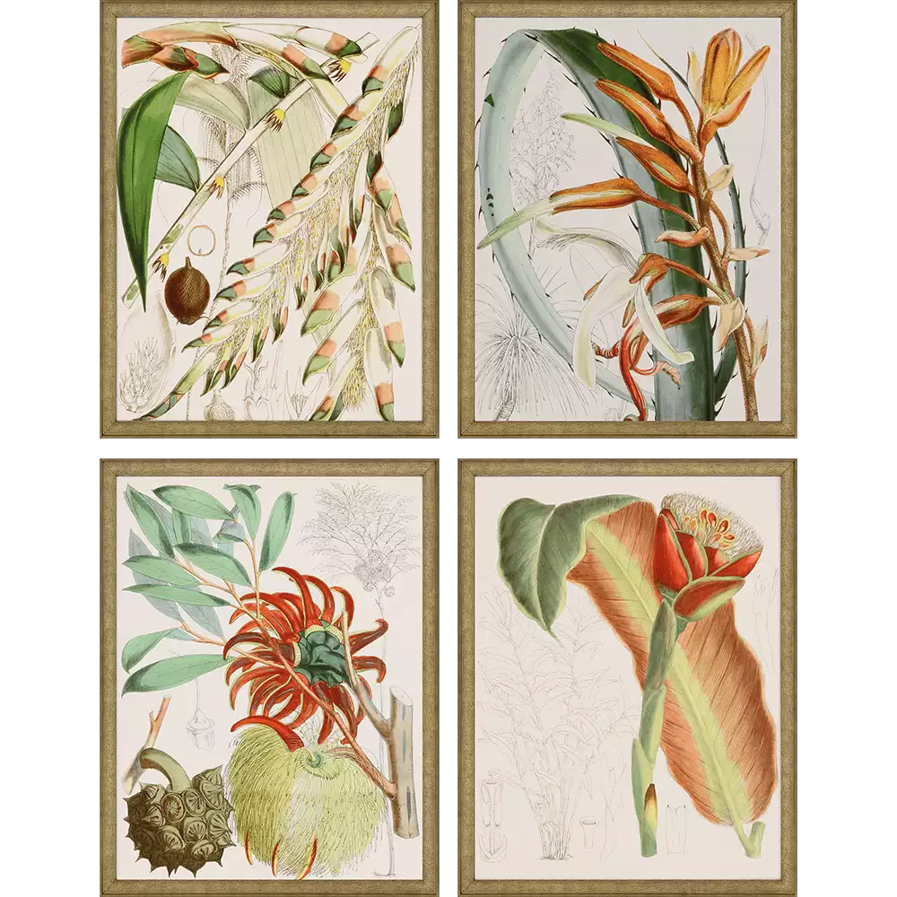 Tropical Variety S/4