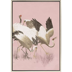 Curious Cranes - Preen