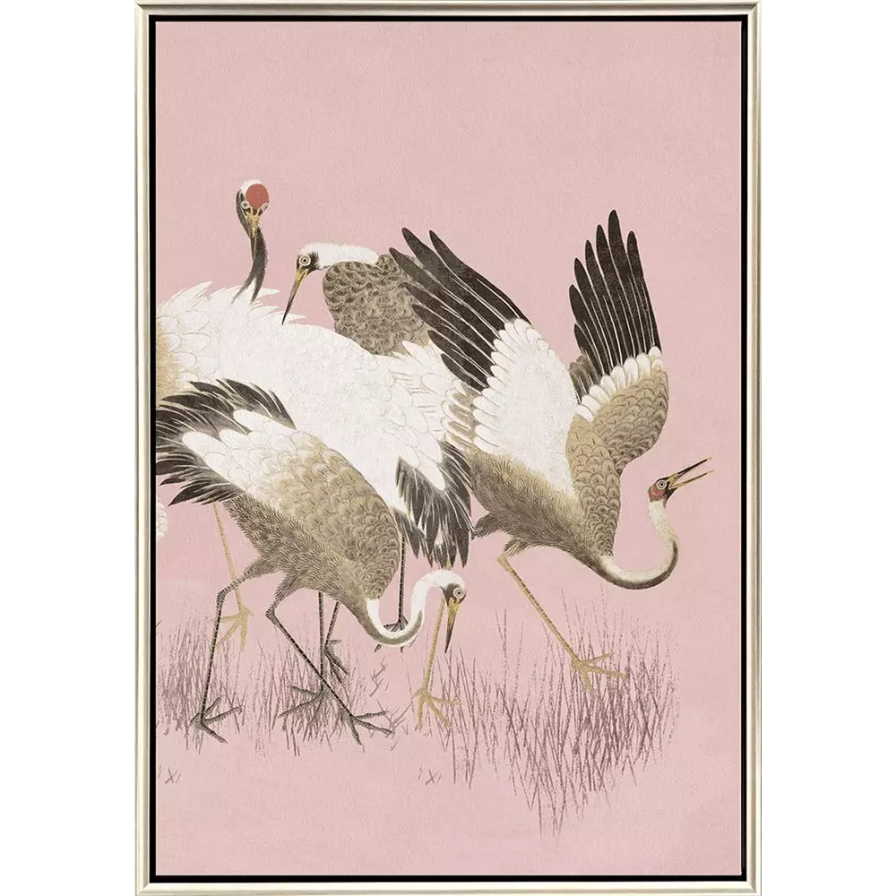 Curious Cranes - Preen