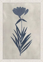 Pressed Flower I S/4