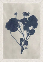 Pressed Flower I S/4