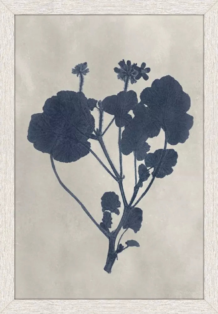 Pressed Flower I S/4