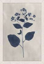 Pressed Flower I S/4